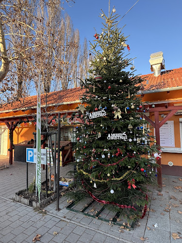 Dunaharaszti, Baktay Ervin tér, 2330