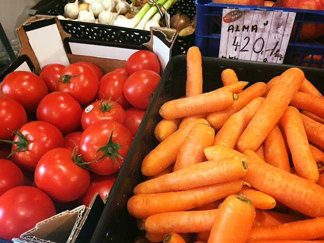 Opinii despre Mini Market Fagyizó & Élelmiszerbolt în Győr - Vendéglátás