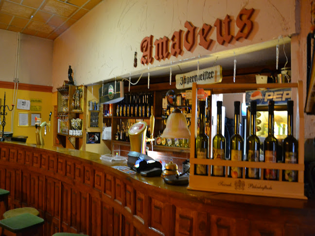 Comentarii opinii despre Amadeus Étterem