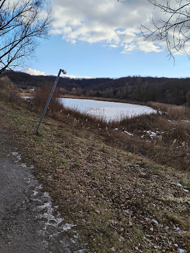 Üvegtigris, a büfé