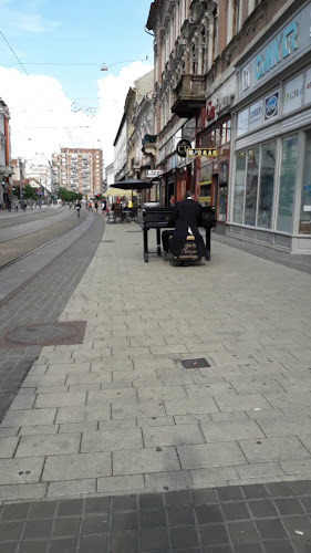 Comentarii opinii despre Yummy