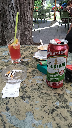 Comentarii opinii despre Arany Sellő Büfé