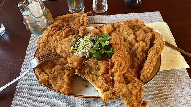 Comentarii opinii despre Tolnay Vendéglő