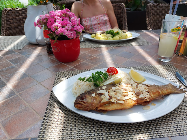 Borcsa Étterem - Vendéglátás