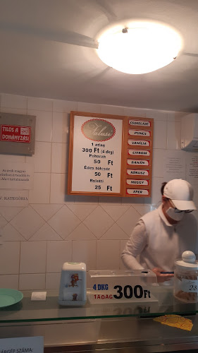 Opinii despre Eredeti Falusi Fagyizó în Kecskemét - Vendéglátás