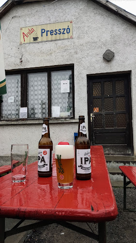 Szeleste, Berzsenyi Dániel u. 54, 9622