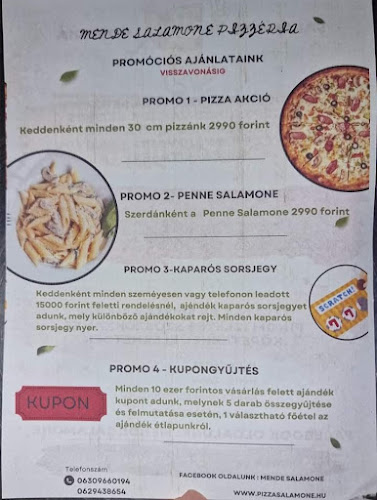 Pizzeria Gastro Salamone Kft. - Vendéglátás
