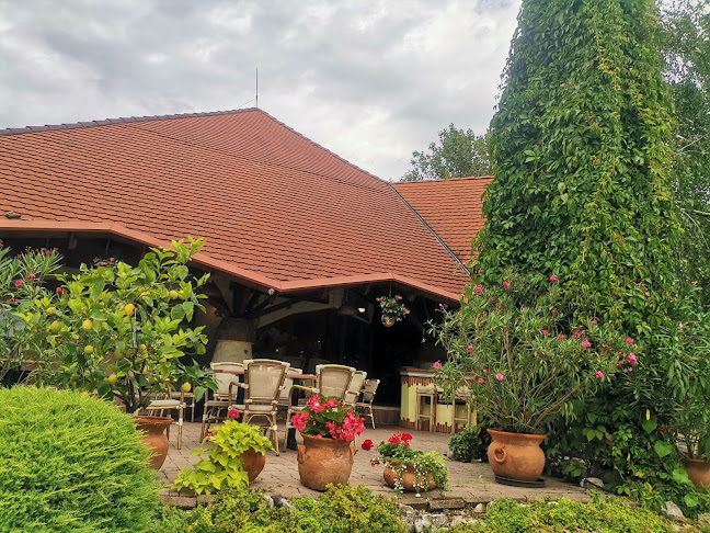 Comentarii opinii despre Terasz Étterem