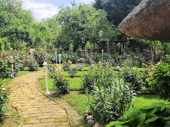 Városi Ivoda - Dombóvár