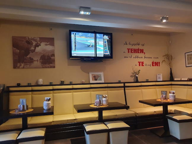 Comentarii opinii despre Kistehén Burger Étterem