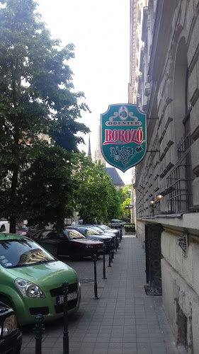 Comentarii opinii despre Óbester Borozó