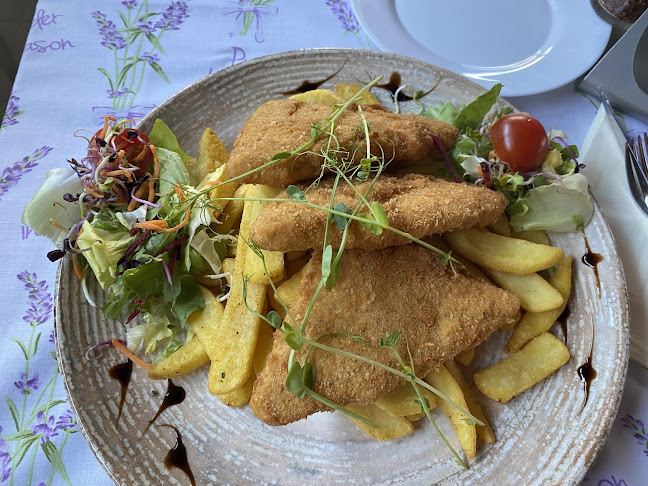 Véndiófa Grill Bisztró - Miskolc