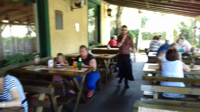 Comentarii opinii despre Zöldfa Vendéglő