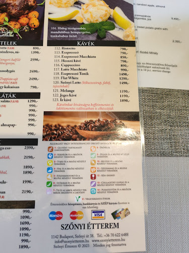 Szőnyi Étterem - Vendéglátás