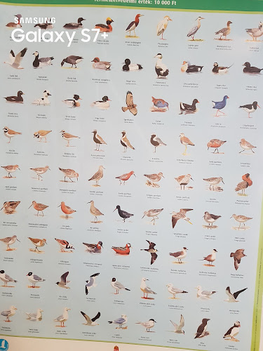 hummusbar - Budapest