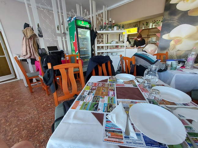 Opinii despre Diófa Vendéglő Kalocsa -Céges Rendezvény szervezés- Étterem Kalocsa- Menüztetés în Kalocsa - Vendéglátás