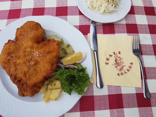 Opinii despre Csali Csárda în Pilisszentiván - Vendéglátás