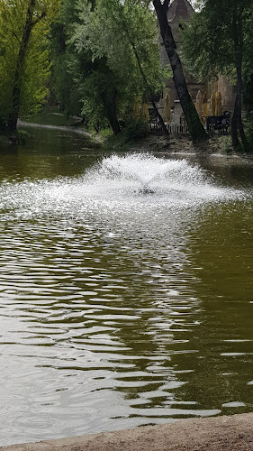 Anonymus Bar&More - Vendéglátás