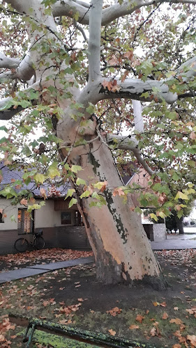 Opinii despre Lovas Csárda în Mezőszilas - Vendéglátás