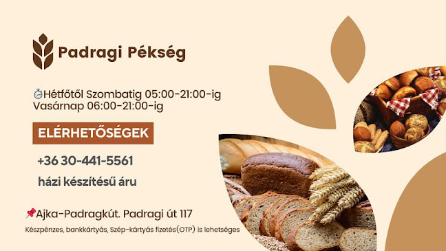 Ajka, Padragi út 117, 8451