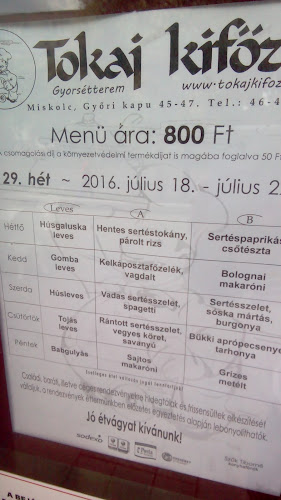 Tokaj Gyorsétterem és Kifőzde - Vendéglátás