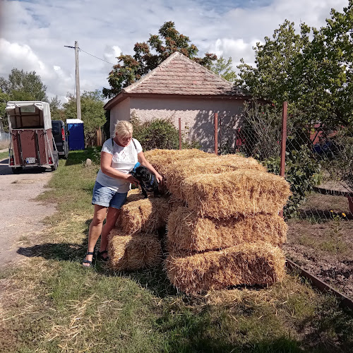 Óballa, Fő u. 25, 5200