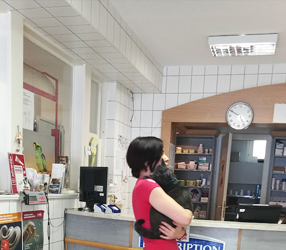 Szekszárd, Mikes u. 8, 7100