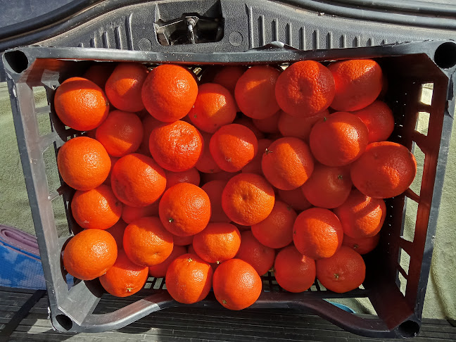 Budapesti Nagybani Piac Zrt.