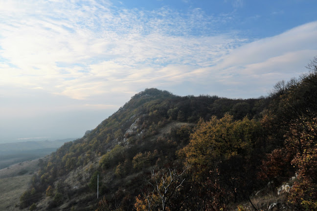 Kesztölc, Esztergomi u. 15, 2517