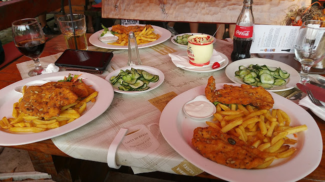 Comentarii opinii despre Völgy étterem