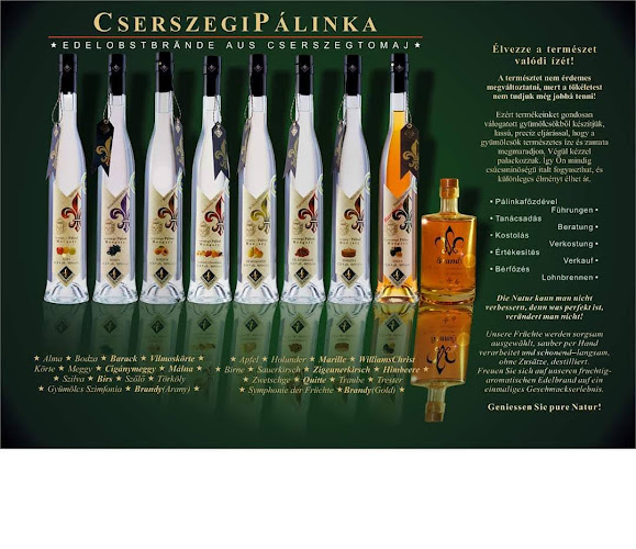 Gutorfölde, Verseny u. 2, 8951