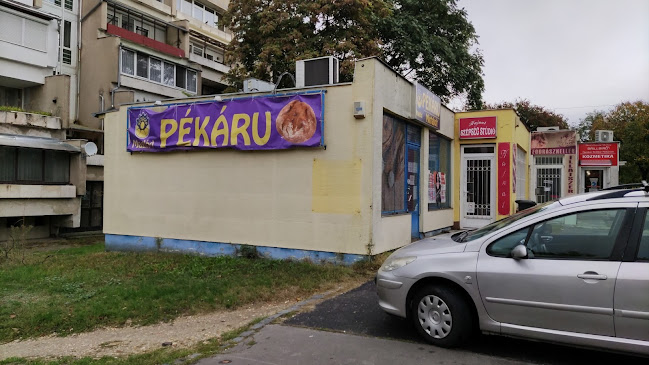 Sütőgép Pékáru Mintabolt