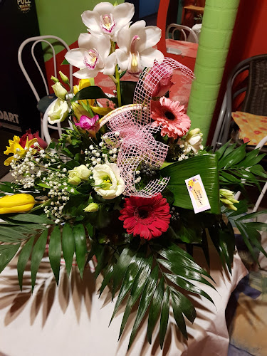 Opinii despre Napoleon Söröző în Budapest - Vendéglátás