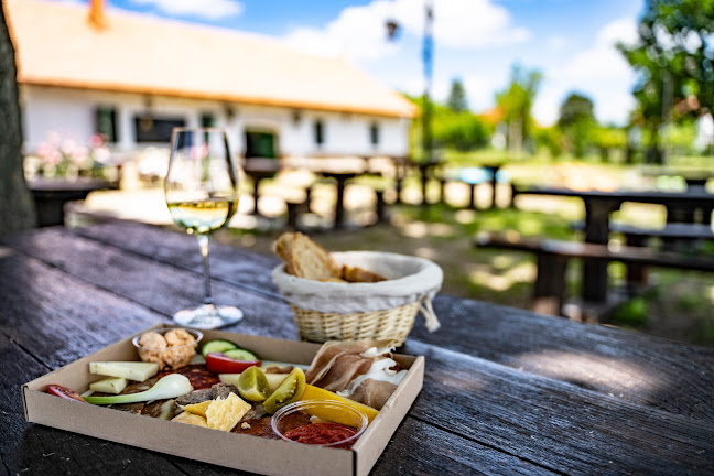 Comentarii opinii despre Villa Delikát Nyárikonyha