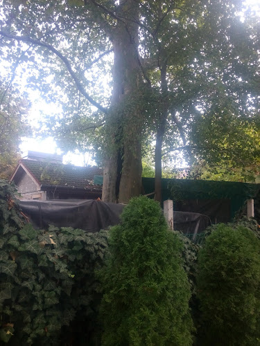 Sopron, Füredi Oszkár stny. 5, 9400