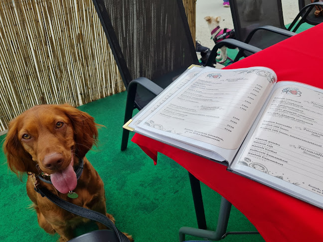 Opinii despre G3 Vendéglő és Pizzéria Karancsalja în Karancsalja - Vendéglátás