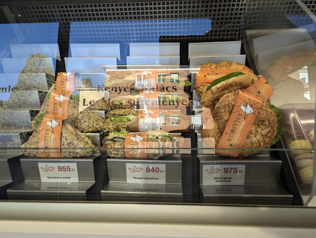 Balmaz-Sütöde Kft. - Debrecen