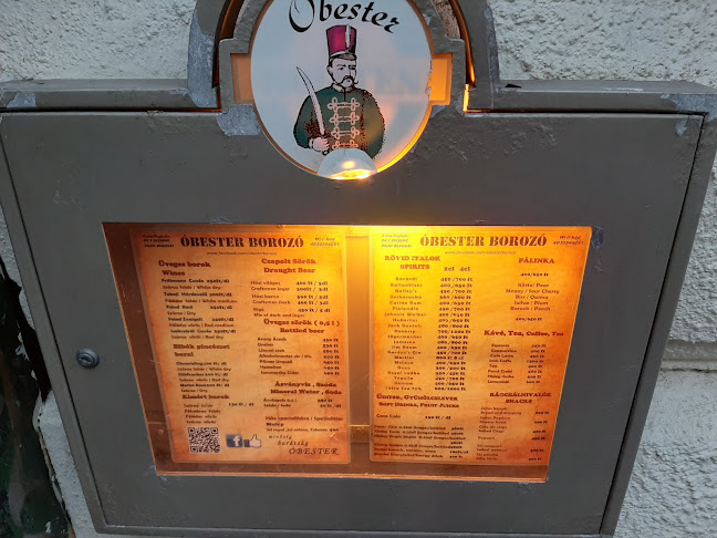 Opinii despre Óbester Borozó în Budapest - Vendéglátás