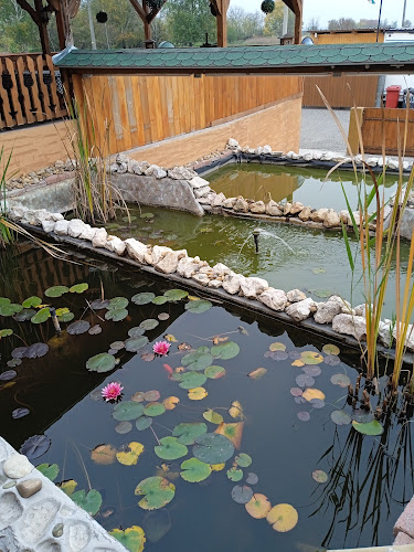 Malom Csárda - Vendéglátás