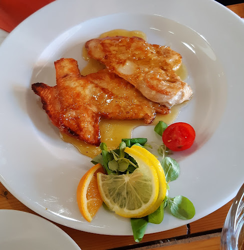 Comentarii opinii despre Nagy- Magyarország Fogadó