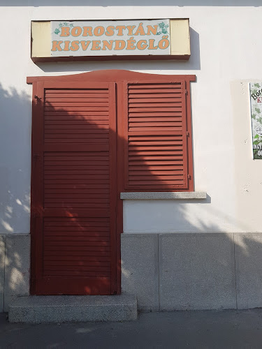 Opinii despre Borostyánkő kisvendéglő în Szeged - Vendéglátás