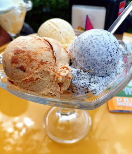 Aranytölcsér Fagylaltkert és Kávézó - Vendéglátás