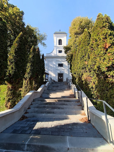 Makákó Kávégyár