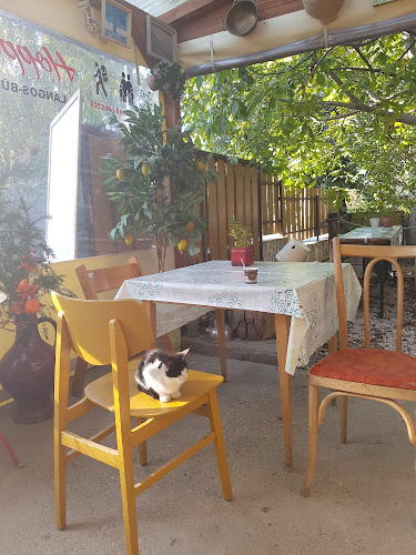 Pilismarót, Rákóczi Ferenc u. 82, 2028