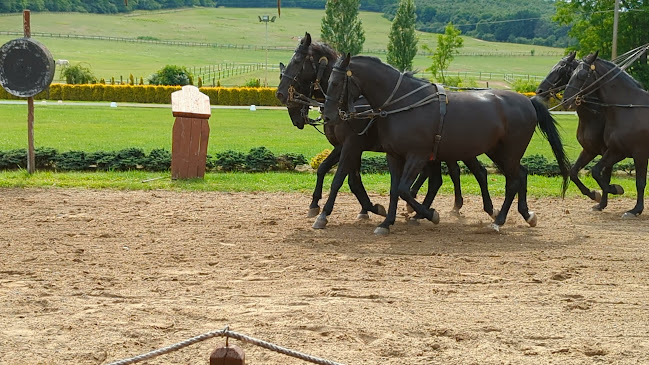 Lázár Lovaspark - Domony