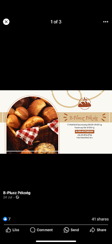 Comentarii opinii despre Padragi Pékség