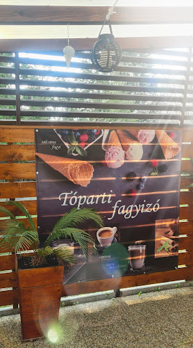 Comentarii opinii despre Tóparti Fagyizó