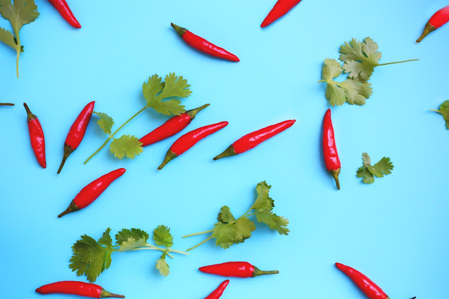 Patent Gasztrobár - Székesfehérvár