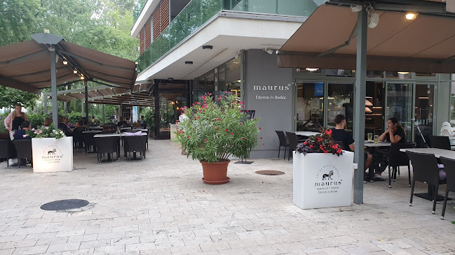 Maurus Étterem és Borbár - Vendéglátás