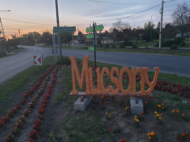 Opinii despre Likaj Albán Pékség în Múcsony - Vendéglátás